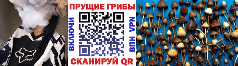 mega сайт  Североуральск  Галлюциногенные грибы Magic Shrooms 