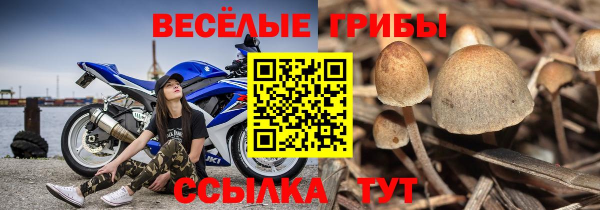 Североуральск  Псилоцибиновые грибы MAGIC MUSHROOMS  Вход с VPN 