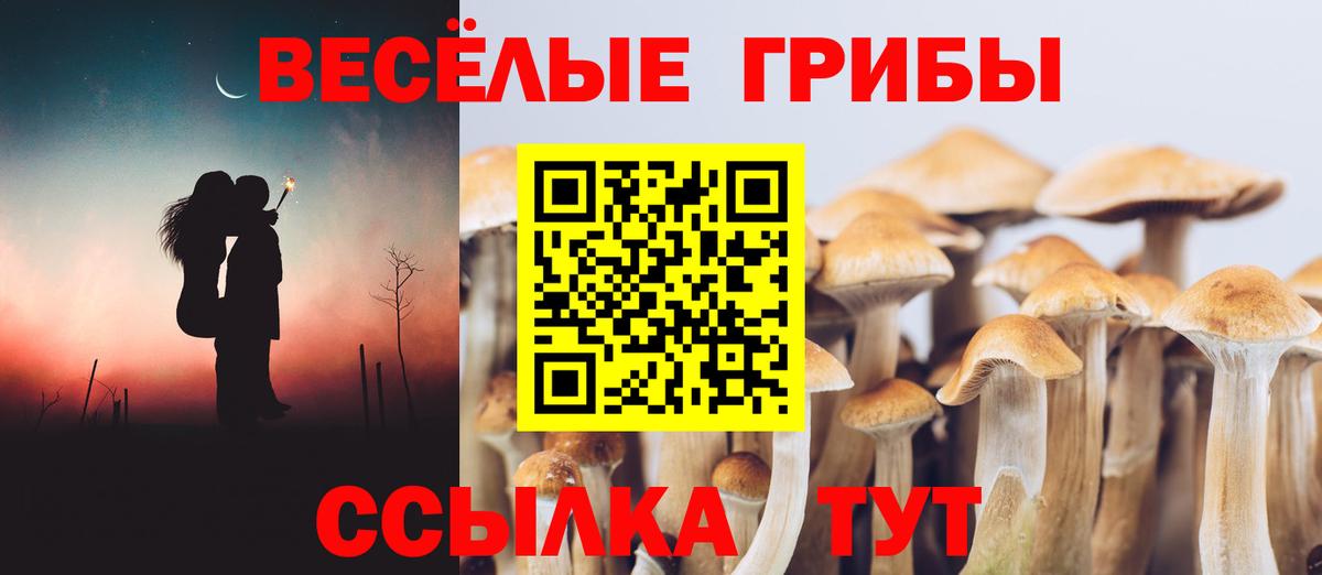 Псилоцибиновые грибы мицелий Североуральск